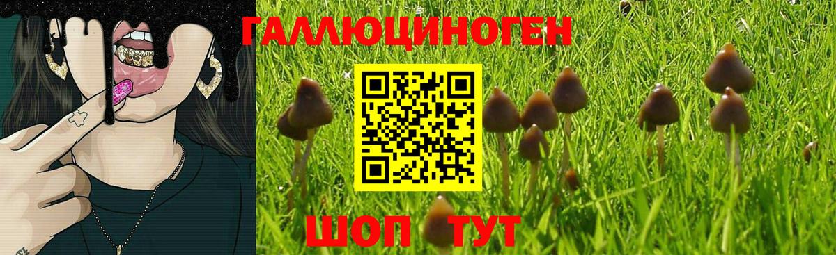 Нижнекамск  Галлюциногенные грибы Cubensis  Галлюциногенные грибы мухоморы  Вход с VPN 